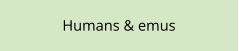 Humans & emus