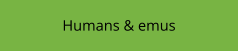 Humans & emus